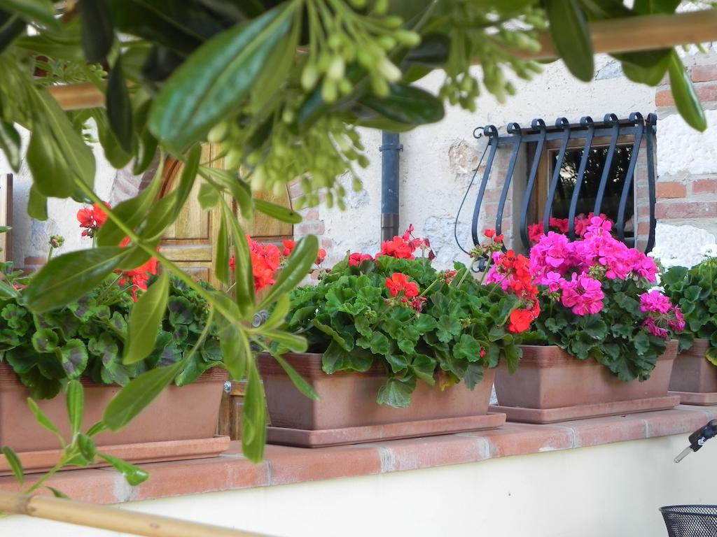 Villa Il Fortino Lido di Camaiore Dış mekan fotoğraf