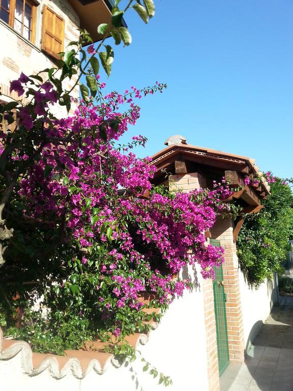 Villa Il Fortino Lido di Camaiore Dış mekan fotoğraf